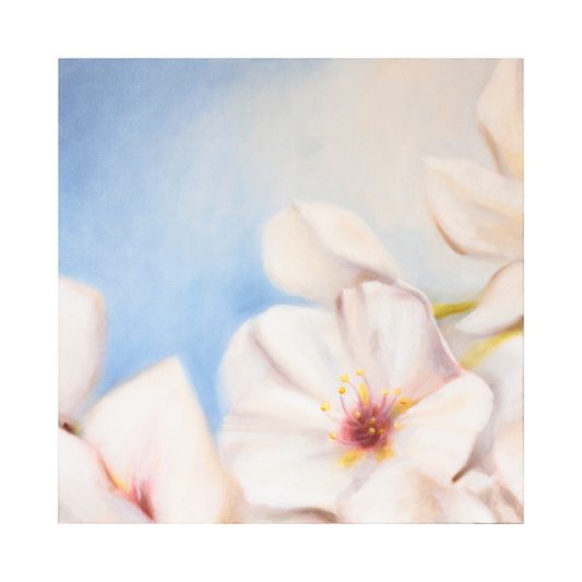 Bryan Horn Art Cherry Blossom Print - 8x8 Acrylic Frame