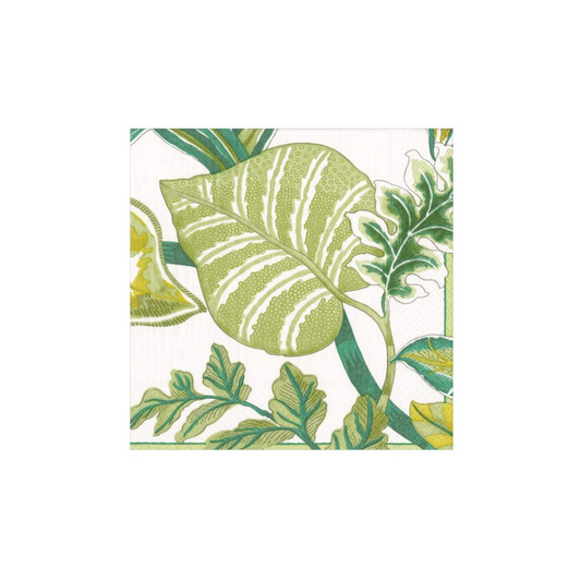 Caspari Florida Paper Cocktail Napkins in Ivory