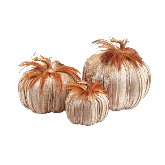 Burton and Burton Champagne Velvet Pumpkin With Feathers