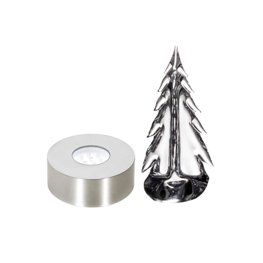 Evergreen Essentials Gift Set