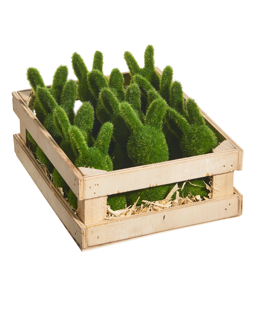 Moss Bunnies