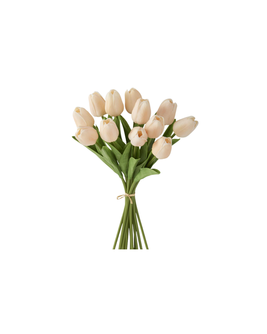 Peach Real Touch Mini Tulip Bundle