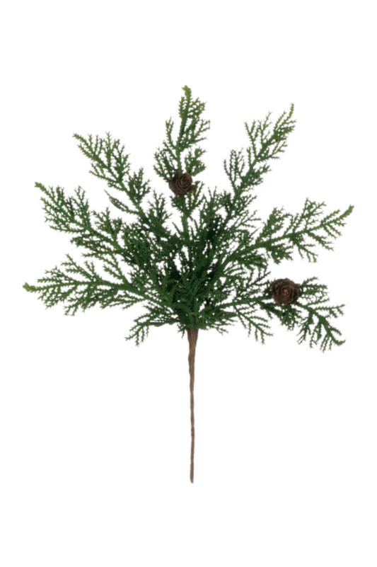 Cypress and Pine Cone Pick