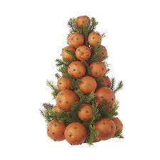 16.5" Pomander Tree